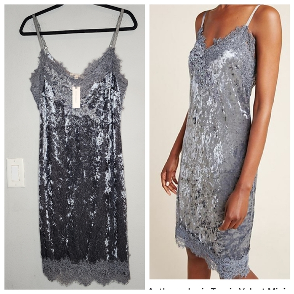 Anthropologie Dresses & Skirts - NWT Anthropologie Tessie Grey Velvet Lace Embroidered Sleeveless Slip Dress Sz M